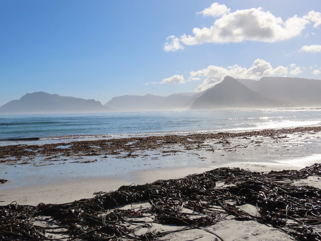 surf foto Surfing action shots (26)